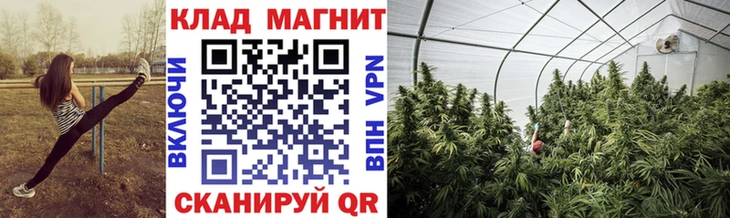 Купить наркотики цена Гай Псилоцибиновые грибы  Меф  СК  Амфетамин  Канабис  Кокаин 