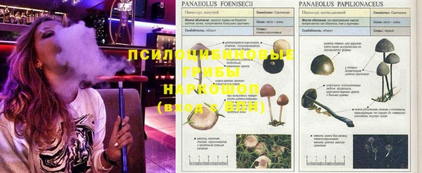 метадон Баксан